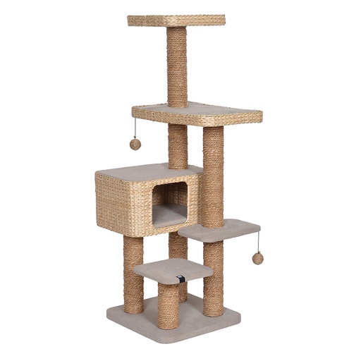 [431/462843] Krabpaal PALAWAN [bruin (Bruin)]