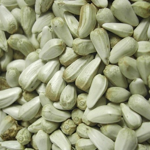 [446] Safflower seed extra
