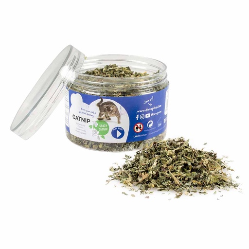 [471601] Catnip Herbe
