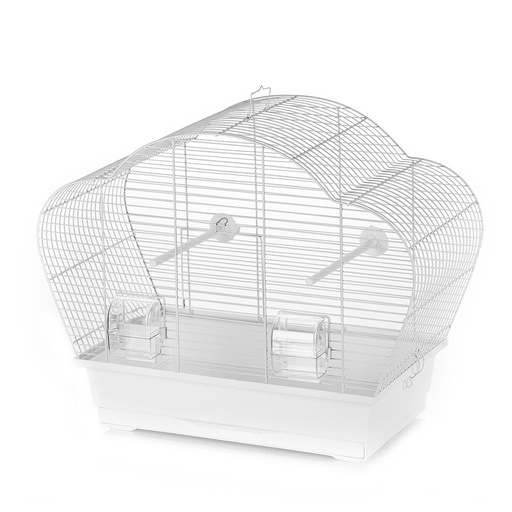 [493/118] Kooi beta [wit/wit (Wit)]