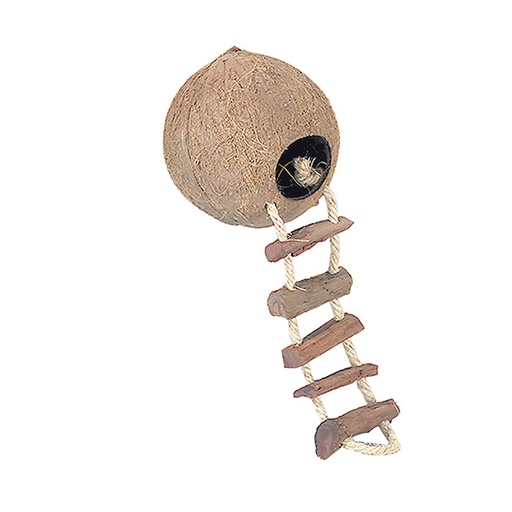 [533/133408] Coconut Globehouse With Ladder And Cage