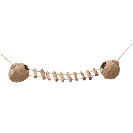 [533/133415] Coconut Globehouse With Ladder And Rope