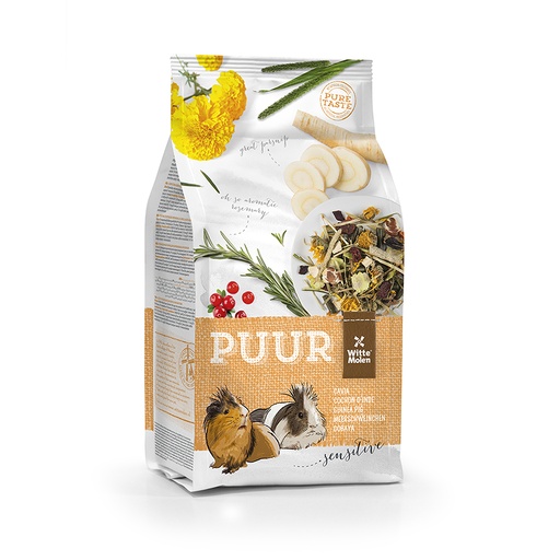 [654812] PUUR cochon d’inde sensitive