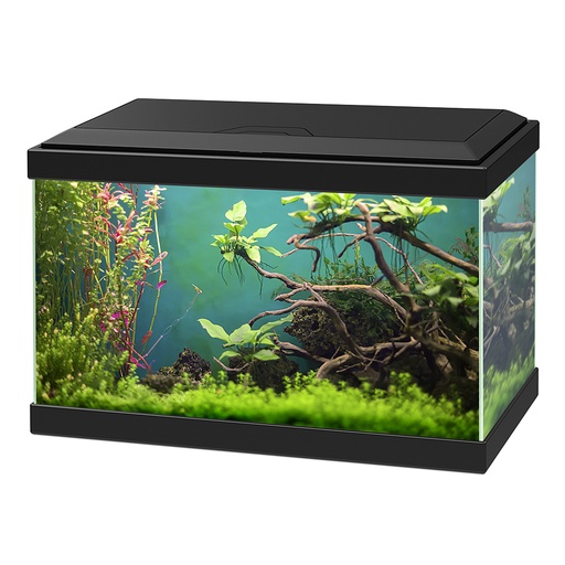 [77540133] aquarium aqua 20 classic [black (Black)]