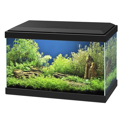 [77540134] aquarium aqua 20 led [black (Black)]