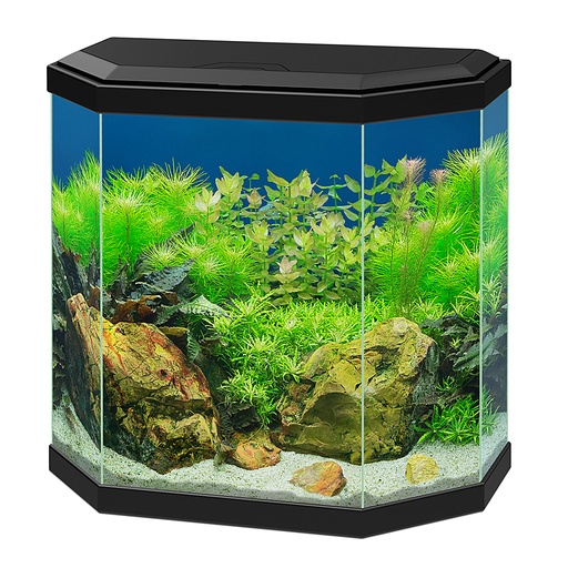 [77540135] aquarium aqua 30 led [black (Black)]