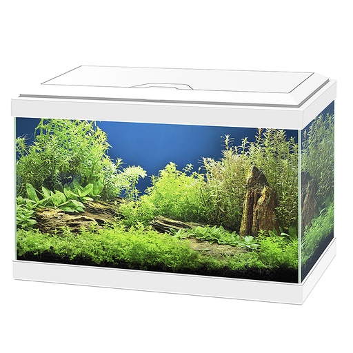 [77540142] aquarium aqua 20 led [wit (Wit)]