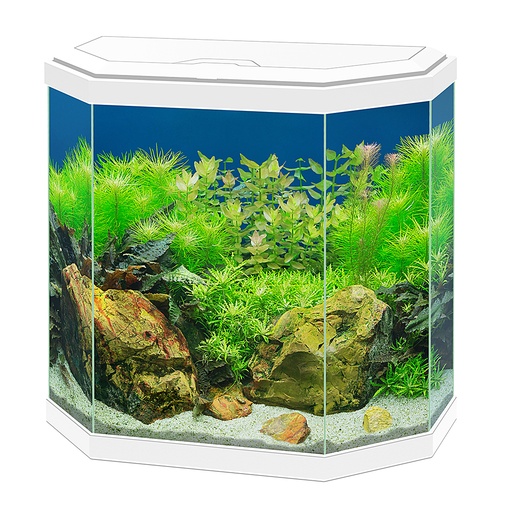 [77540144] Aquarium Aqua 30 Hexa [wit (Wit)]