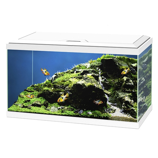 [77540227] aquarium aqua 60 led bio cf150 [wit (Wit)]