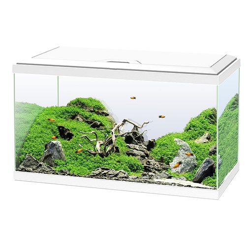 [77540231] aquarium 60 led cf80 [wit (Wit)]