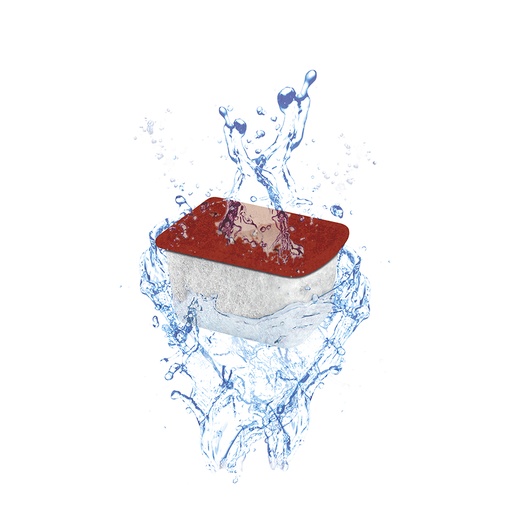 [77560024] Stop-algae medium 1pc [rouge (Rouge)]