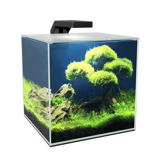 [77690137] aquarium cube 10 led