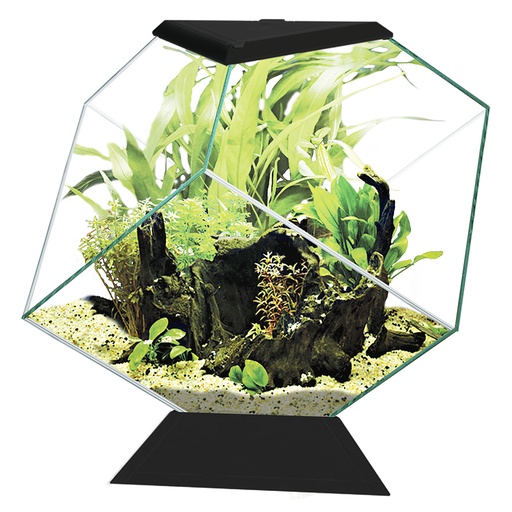 [77690144] Aquarium Nexus 14C [noir (Noir)]