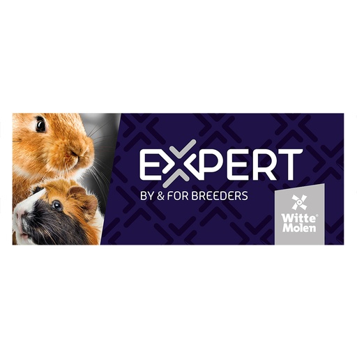 [A540] Topcard Magn Expert Nagetier
