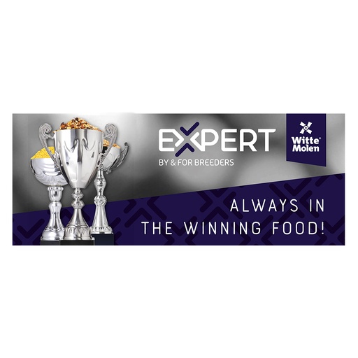 [A541] Topcard magn Expert general