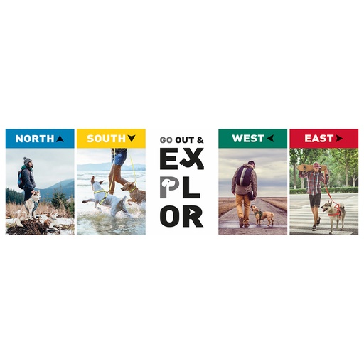 [A544] Forex EXplor
