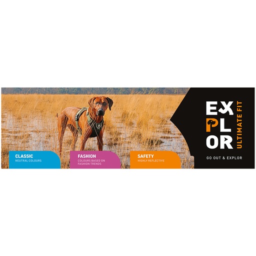 [A740] Topcard magn explor uf 1m25
