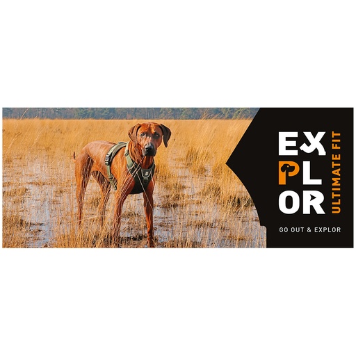 [A741] Topcard magn explor uf 1m