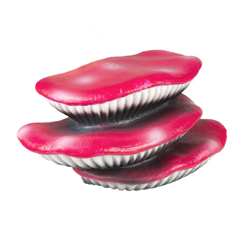 [236/481974] Floating deco – Champignons [rose (Rose)]