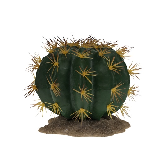 [243/482681] Echinocactus 1 [vert (Vert)]