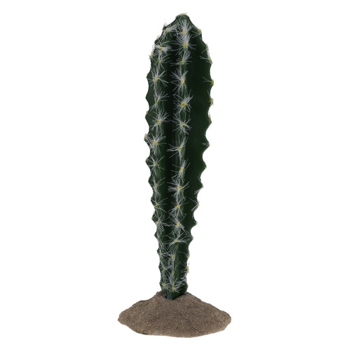 [243/482735] Cactus columnar 1 [green (Green)]