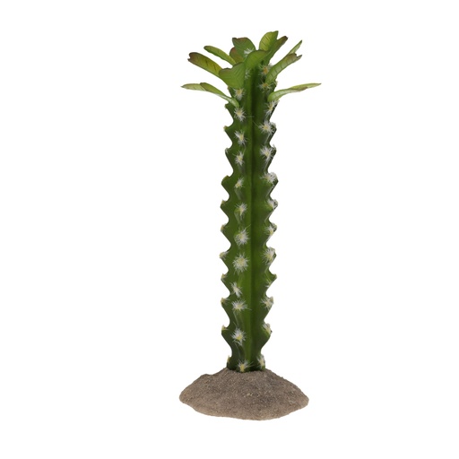 [243/482759] Cactus columnar 3 [green (Green)]