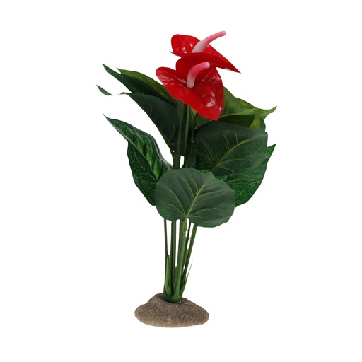 [243/482766] Anthurium [vert (Vert)]