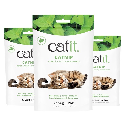 [33/44771] CA Catnip
