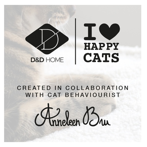 [A817] Flyer I Love Happy Cats eng