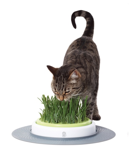 [33/50755] CA Design Senses Gras Garten