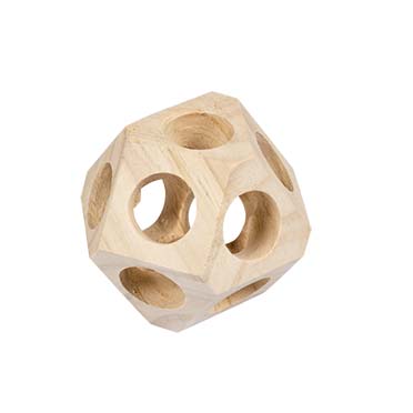 Holzlodge Mit Gewölbt Dach Nagetier