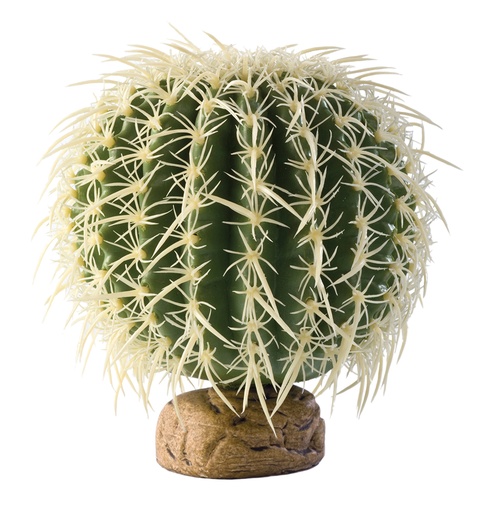 [33/PT2985] EX Cactus oursin [vert (Vert)]