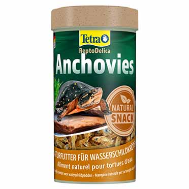 Anchovies