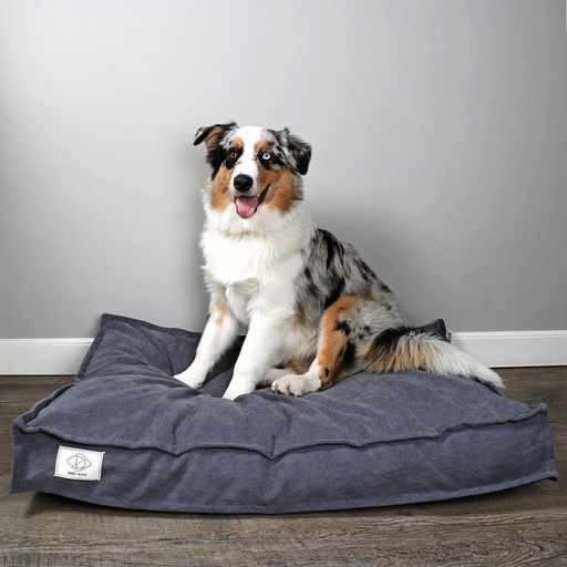 Steve dog cushion [blue (Blue)]