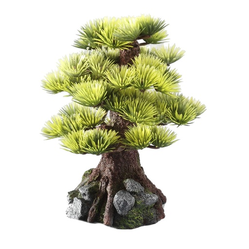 [234/420928] Bonsai Medio Sort C