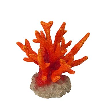 Rock Cave 4