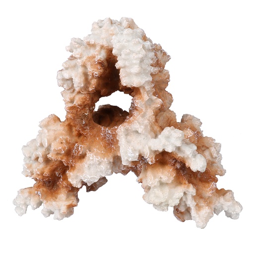 [234/443224] Coral