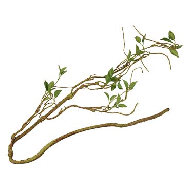 Reptile nesting cave tree [brown (Brown)]