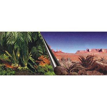 Photobackground jungle & desert