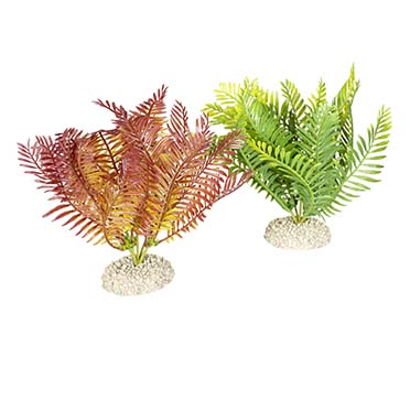 Plante bamboo [vert (Vert)]