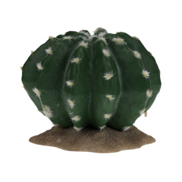 Echinocactus [vert (Vert)]