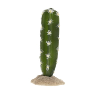 Fern [green (Green)]