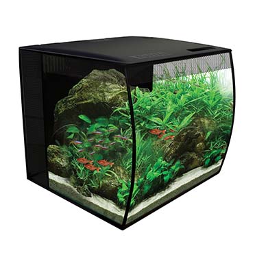 Fluval flex aquarium kit eau douce [blanc (Blanc)]