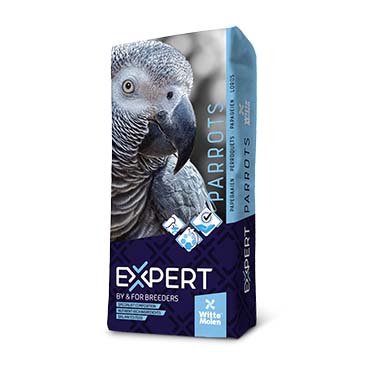 Expert parrots