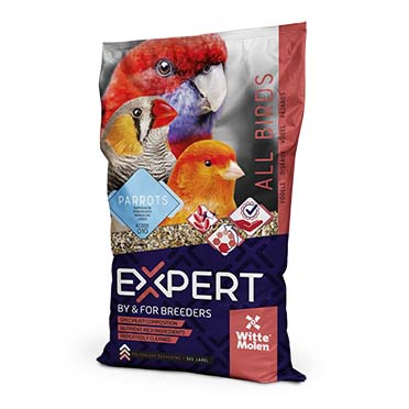 Expert perruches