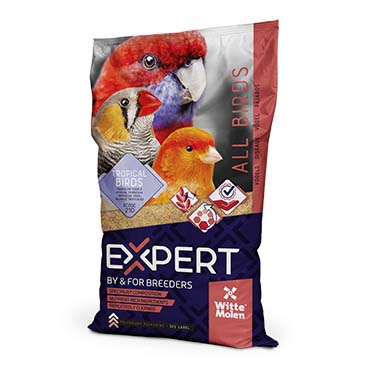 Expert graines de germination canaris