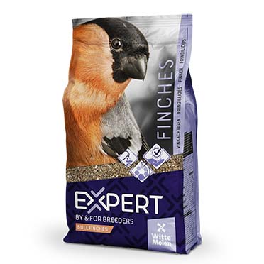 Expert Dompfaffe
