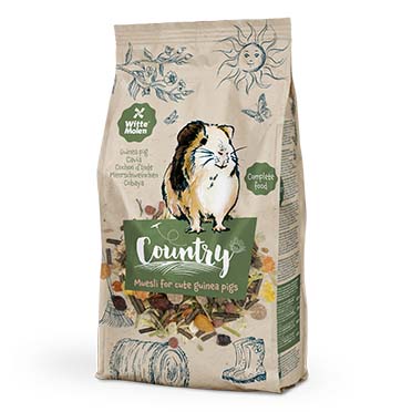 Country Cavia