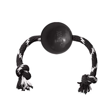 KONG Extreme Goodie Ribbon [black (Black)]