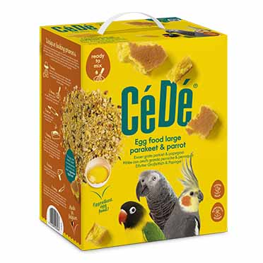 [1061] PICKING STONE TICO